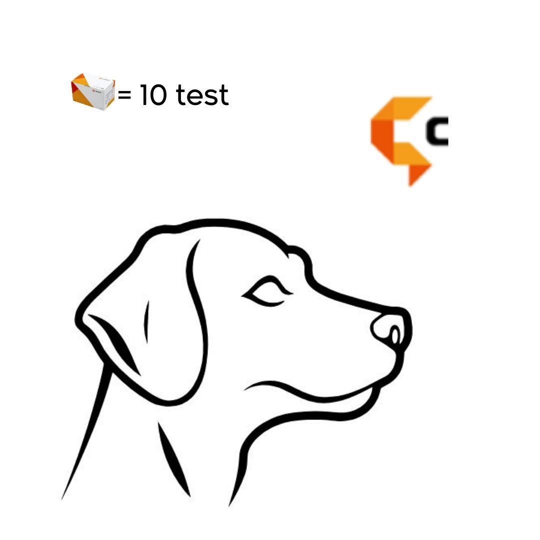 CIMURRO + PARVOVIRUS